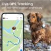 Tractive GPS Tracker & Health Monitoring for Dogs - Market Leading Pet GPS Location Tracker, Wellness & Escape Alerts, Waterproof, Works with Any Collar (Brown) - Image 3