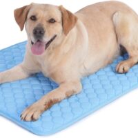 Dog Cooling Mat, No Need to Freeze Or Refrigerate This Cool Pet Pad Cat Mats- Keep Your Pet Cool, Machine Washable.