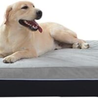 Laifug Orthopedic Memory Foam Extra Large Dog Bed Pillow(50"x36"x10", Slate Grey) Durable Water Proof Liner & Removable Washable Cover & Smart Design