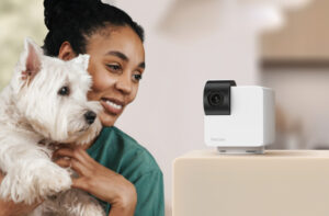 interactive Dog camera 