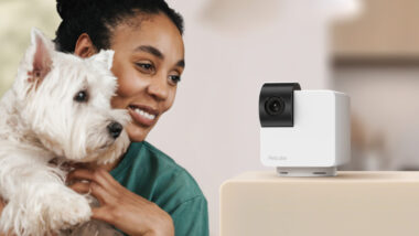 interactive Dog camera