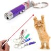 6 PCS Cat Toys Laser Pointer Mini Keychain Laser Pointer LED Flashlight Dog Laser Toy Pet Remote Control Laser (6 Pcs Pack A) - Image 3