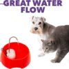 Aqua Mini Portable Pet Water Fountain - Automatic Drinking Bowl for Cats and Dogs - Stainless Steel Faucet - Replaceable Filters - Easy Cleaning - Ideal for Multiple Pets - 1.2L/42 fl oz - Blue - Image 5