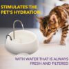 Aqua Mini Portable Pet Water Fountain - Automatic Drinking Bowl for Cats and Dogs - Stainless Steel Faucet - Replaceable Filters - Easy Cleaning - Ideal for Multiple Pets - 1.2L/42 fl oz - Blue - Image 4