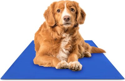 Chillz Dog Cooling Mat, Medium - Pressure Activated Cooling Mat for Dogs and Cats - No Water or Refrigeration Needed - Non-Toxic Gel Cooling Pad, Ideal for Home and Travel - 19.5 x 15.7 Inches