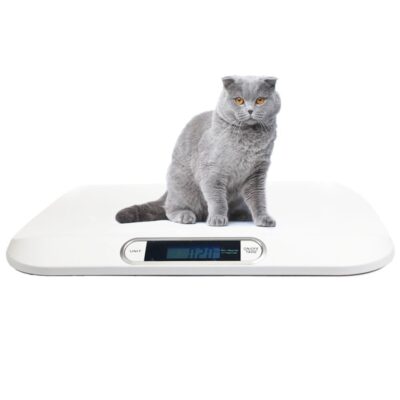 Digital Electronic Display Portable Dog Cat Scale, Weighs Pet Food, Up to 44 Pounds Capacity for Puppy, Small Animal, Kitten, Rabbit, Tortoise