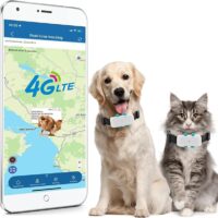 GPS Tracker for Dogs Big Cats Waterproof, Pet Tracker for Android and iOS Phones, Animal GPS Locator 4G Real-Time Tracking Monitor Device with GeoFence Sound and Light Alarm TK911Pro