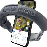 Halo Collar 3 - GPS Dog Fence - Multifunction Wireless Dog Fence & Training Collar with Real-Time Tracking & GPS - Waterproof, Instantly Create and Store Wireless Fences (Small, Graphite)