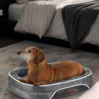 Orthopedic Dog Bed for Small Dogs, Dog Couch Design with Egg Foam Support, Removable, Machine Washable Plush Cover and Non-Slip Bottom with Four Sided Bolster Cushion (Gray)