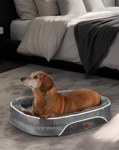 Orthopedic Dog Bed for Small Dogs, Dog Couch Design with Egg Foam Support, Removable, Machine Washable Plush Cover and Non-Slip Bottom with Four Sided Bolster Cushion (Gray)