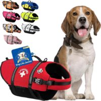 Paws Aboard Dog Life Jacket - Keep Your Canine Safe with a Neoprene Life Vest - Designer Life Jackets - Perfect for Swimming and Boating - Red, Small