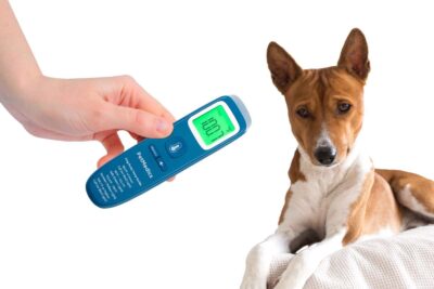 PetMedics Non-Contact Digital Pet Thermometer for Dogs - Infrared Fast and Accurate Canine Temperature Detection - Easy to Read LCD Display