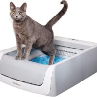 PetSafe ScoopFree Crystal Pro Self-Cleaning Cat Litterbox - Never Scoop Litter Again - Hands-Free Cleanup with Disposable Crystal Tray - Less Tracking, Better Odor Control - includes Disposable Tray