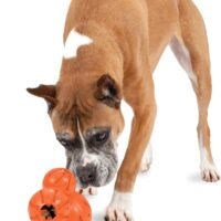 PetSafe Sportsmen Barnacle - Dog Chew Toy - Interactive Pet Puzzle for Boredom or Separation Anxiety - Use with Treats - Large