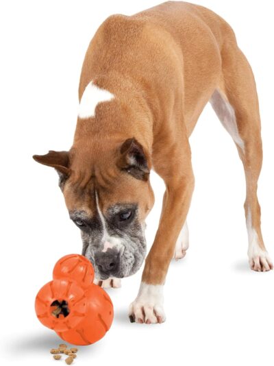 PetSafe Sportsmen Barnacle - Dog Chew Toy - Interactive Pet Puzzle for Boredom or Separation Anxiety - Use with Treats - Large