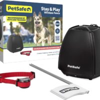 PetSafe Stay & Play Wireless Pet Fence for Stubborn Dogs - No Wire Circular Boundary, Secure 3/4-Acre Yard, for Dogs 5lbs+, America's Safest Wireless Fence from Parent Company Invisible Fence Brand