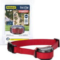 PetSafe Stubborn Dog Stay & Play Wireless Pet Fence Receiver Collar, Waterproof and Rechargeable, Tone and Static Correction, PIF00-13672, from The Parent Company of The Invisible Fence Brand