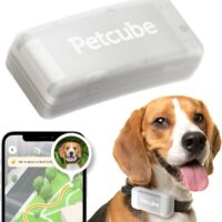 Petcube GPS Tracker for Dogs | Pet GPS Location Tracker with Escape Alerts and Virtual Fences, Activity and Wellness Monitoring, Glows in a Dark, Water and Dust Proof