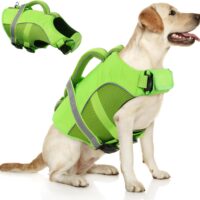 Queenmore Dog Life Jacket, Adjustable Ripstop Dog Life Vest for Swimming Boating, Dog Lifesaver with Superior Buoyancy and Rescue Handle, Dog Swimming Vest for Medium Dogs（Green,M）