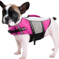 Queenmore Dog Life Jacket Swimming Vest Small Medium Dogs Neoprene Water Boating Life Preserver Lightweight Reflective Cat Puppy Kayaking Lifesaver for Yorkshire terrier,Chihuahua,Teacup (Pink,XS)