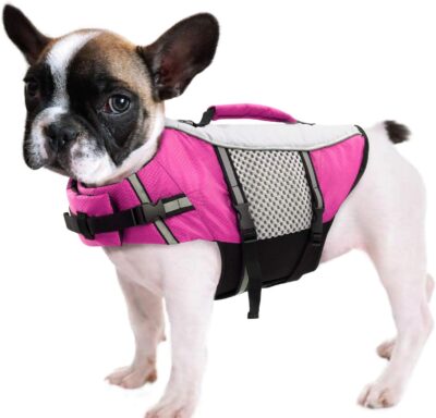 Queenmore Dog Life Jacket Swimming Vest Small Medium Dogs Neoprene Water Boating Life Preserver Lightweight Reflective Cat Puppy Kayaking Lifesaver for Yorkshire terrier,Chihuahua,Teacup (Pink,XS)