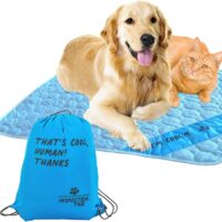 Self Cooling Mat for Dog + Free String Bag/Washable & Portable Pet Soft Pad for Indoor or Outdoor/Perfect as Blanket for Kennel Sofa Bed Floor Car/Blue