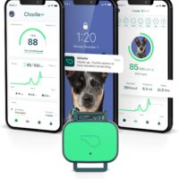 Whistle Health Smart Device | Dog Health and Fitness Tracker | Track Scratching, Licking, Drinking, Eating, Sleeping, and Activity, Green