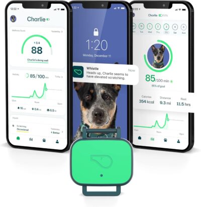 Whistle Health Smart Device | Dog Health and Fitness Tracker | Track Scratching, Licking, Drinking, Eating, Sleeping, and Activity, Green