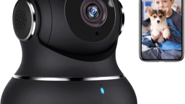 litokam 2K Indoor Security Camera, 360° - Best Pet Cameras : Reviews + Buying Guide