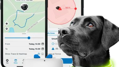 Tractive GPS Pet Tracker with LED Light - Best pet fitness trackers : Reviews + Buying Guide