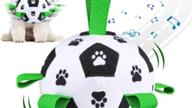 QDAN Interactive Dog Toys for Boredom, - Best interactive pet toys : Reviews + Buying Guide