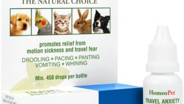 HomeoPet Travel Anxiety, Safe and - Best pet anxiety relief devices : Reviews + Buying Guide