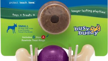 PetSafe® Busy Buddy® Bouncy Bone, Treat - Best pet entertainment systems : Reviews + Buying Guide