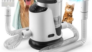 Upgraded Dog Grooming Kit & Pet Hair - Best pet grooming gadgets : Reviews + Buying Guide