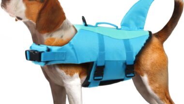 EMUST Dog Life Jacket, Ripstop Dog - Best Pet Life Jackets : Reviews + Buying Guide