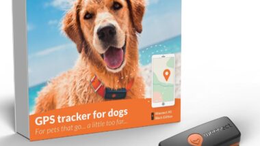 Weenect Dog XS - New GPS Tracker for Dog - Best pet tracking devices : Reviews + Buying Guide