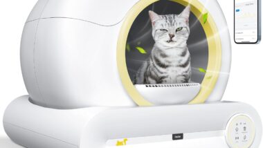 Self Cleaning Litter Box, Automatic Cat - Best Self-Cleaning Litter Boxes : Reviews + Buying Guide