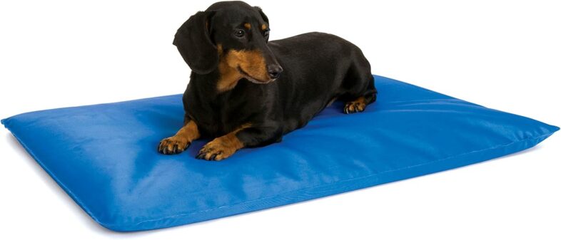 K&H Pet Products Cool Bed III Dog - Best Pet Cooling Devices : Reviews + Buying Guide