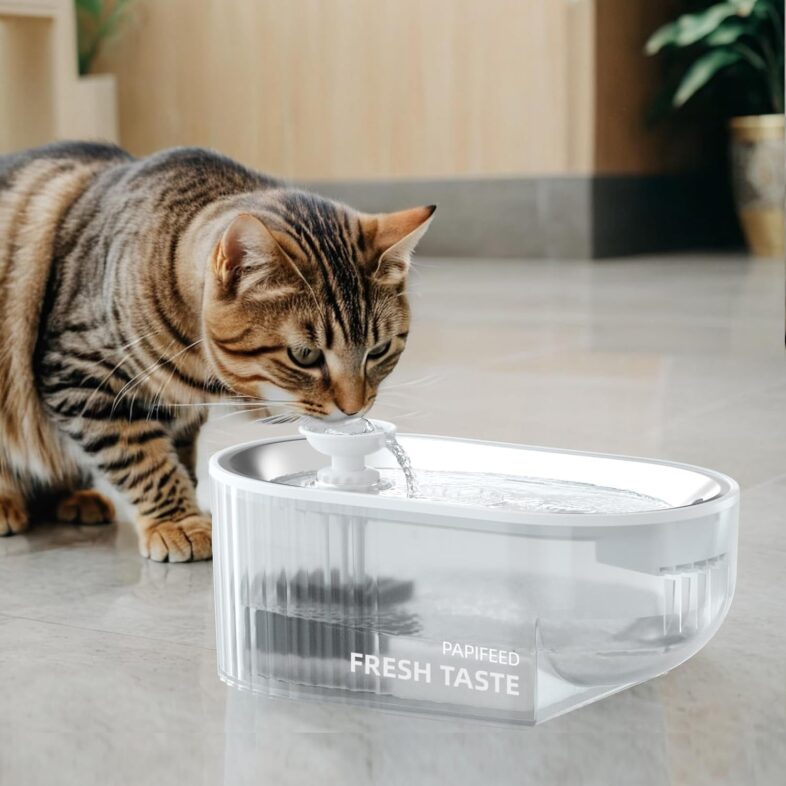 Cat Water Fountain, 84oz/2.5L Automatic - Best automatic water fountains : Reviews + Buying Guide