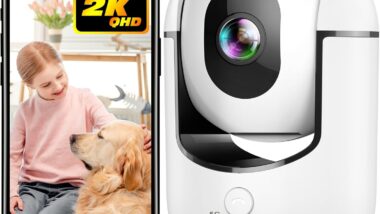 2K Indoor Camera, 5/2.4 GHz WiFi - Best pet monitoring systems : Reviews + Buying Guide