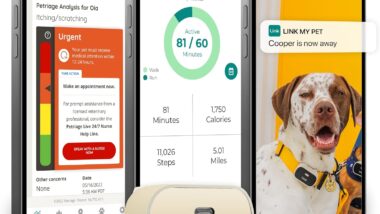 Link GPS Dog Tracker + Activity Monitor - Best pet health monitors : Reviews + Buying Guide