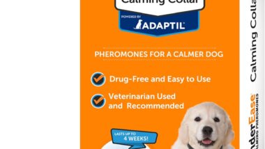 ThunderEase Calming Anti Anxiety - Best Pet Calming Devices : Reviews + Buying Guide