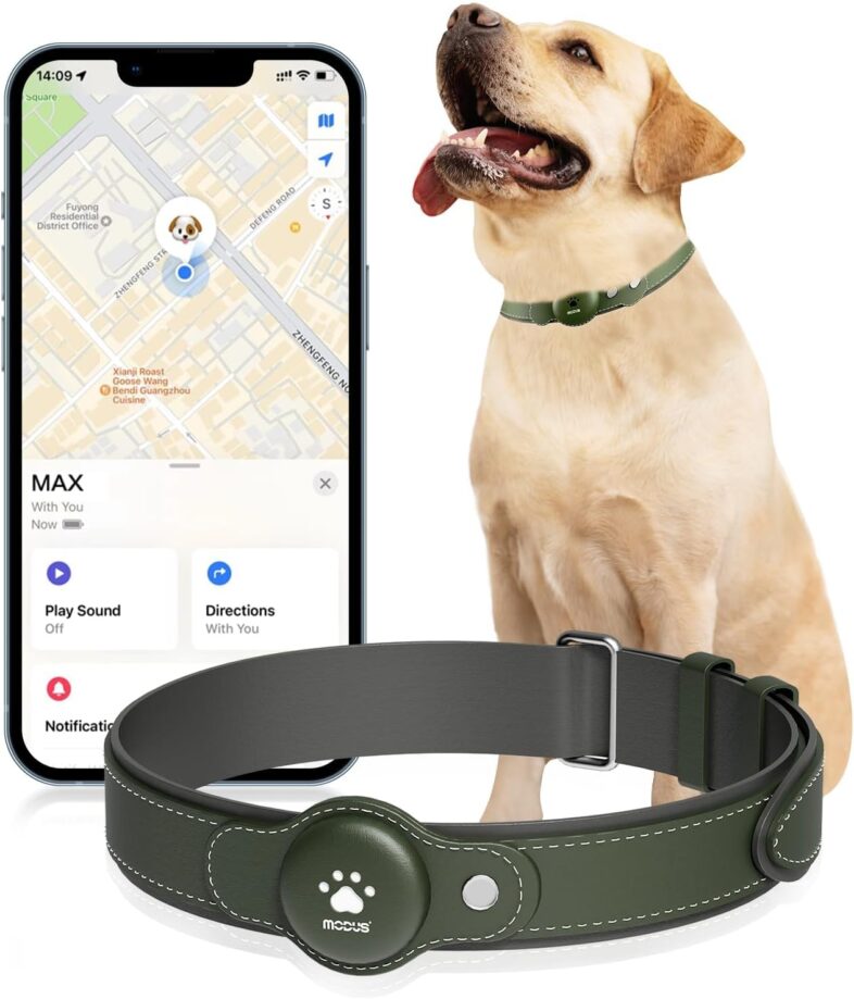 Modus GPS Tracker for Dogs, 2 in 1 Pet - Best GPS Pet Trackers : Reviews + Buying Guide