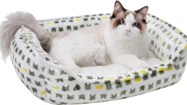 Dog Sofa Bed, Anti-Anxiety Puppy Cuddler - Best Smart Pet Beds : Reviews + Buying Guide