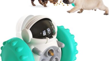 Pet Treat Interactive Food Dispenser Toy - Best Pet Treat Dispensers : Reviews + Buying Guide