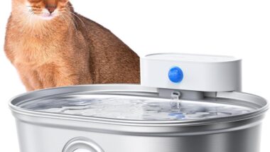 uahpet Wireless Cat Water Fountain Pro, - Best portable pet water fountains : Reviews + Buying Guide