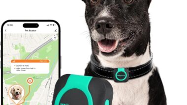 GPS Tracker for Dogs and Cats, Cat & Dog - Best pet GPS trackers : Reviews + Buying Guide