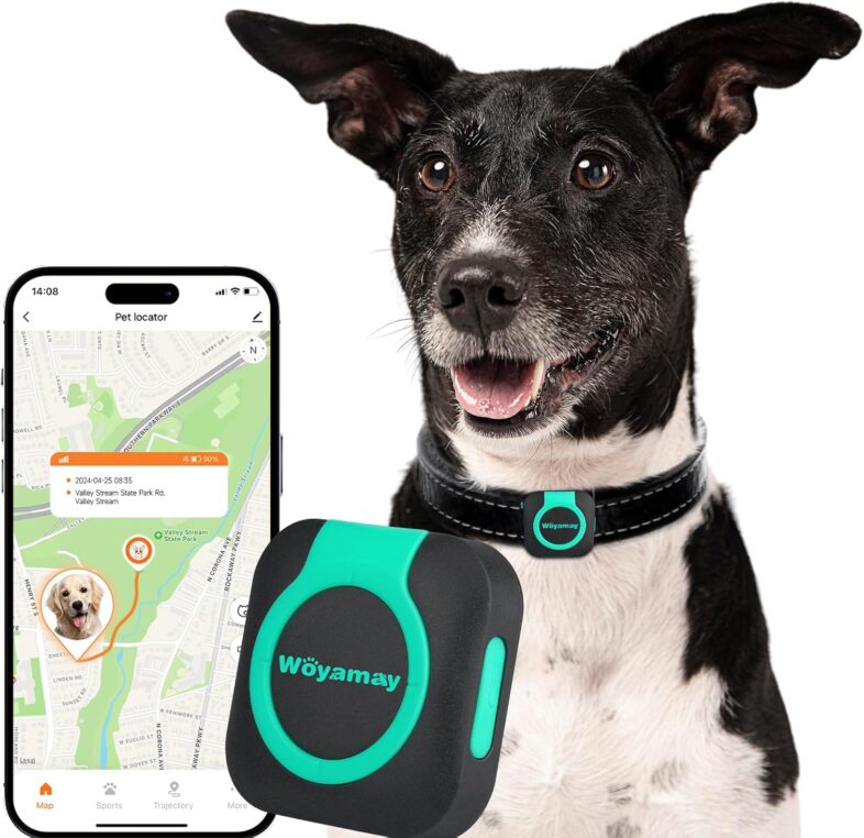 GPS Tracker for Dogs and Cats, Cat & Dog - Best pet GPS trackers : Reviews + Buying Guide