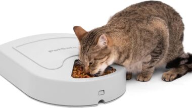 PetSafe Automatic Dog Feeder, 5 Meals, - Best programmable pet feeders : Reviews + Buying Guide