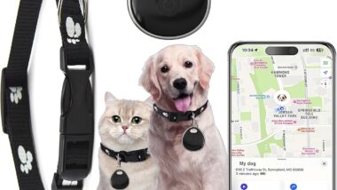 Dog Tracker-Airtag Cat Collar-Cat - Best pet locator beacons : Reviews + Buying Guide